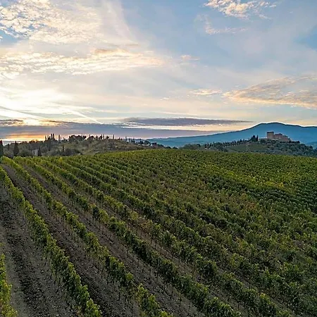 Le 7 Camicie Montalcino